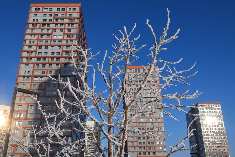 Что такое совет многоквартирного дома и как он помогает жильцам?