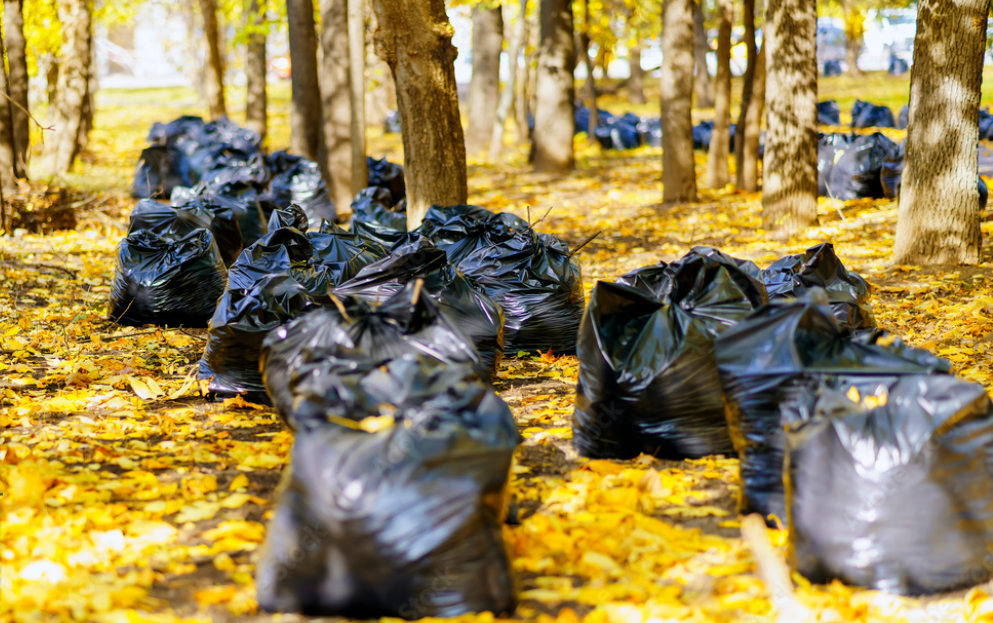 Не относятся к ТКО: в Минприроды разъяснили, как правильно выбрасывать листья и сухие ветки